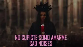 NO SUPISTE CÓMO AMARME (SAD NOISES  / DESEOS DESTRUCTIVOS )