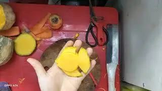 tỉa cá dĩa bằng bí đỏ chưa bao giờ đơn chúc các bạn thành công
