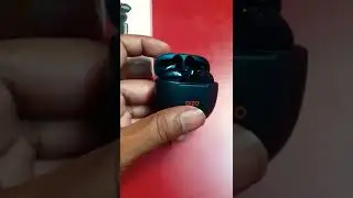 Dizo buds p