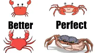 Challenge Accepted: Draw Crab So Real You Can Feel Them