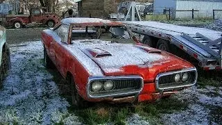 Abandoned muscle cars. Classic muscle cars abandoned. Old cars abandoned