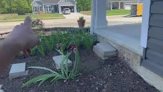 Hydro-seeding and watering! New lawn!