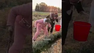 这可是野味呀，明天可以加餐了#农村人的生活 #乡村振兴#乡村守护人 #农村 #2024新农人计划