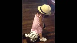 RIDE'EM ZEBRA