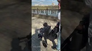 велосипед Q play nova deluxe