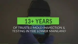 Mold Insight Inc | Consumer Choice Award