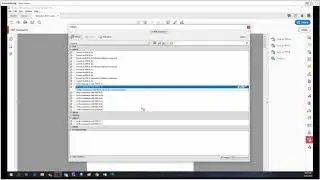 Adobe Acrobat Pro DC Tutorial 25 - PDF Standards