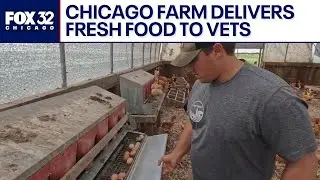 Chicago-area farm delivering free fresh food to veterans in need