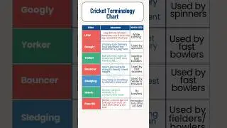 Must-Know Cricket Terms | Quick Guide for Beginners | #cricket  #crickettips  #shorts