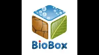 BioBox№0. Оформление аквариума на 700 литров.