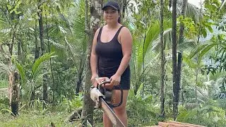 UNBELIEVABLE SKILL! FOREST WOOD CUTTING DONE PERFECTLY