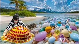 Когда морская вода отступила, обнаружились моллюски размером больше человеческой головы.
