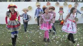 O sanfoneiro só tocava isso Colegio Dom Bosco Guarulhos