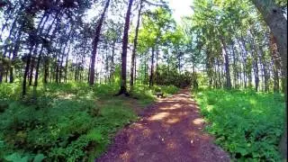 2015 Morten Arboretum Sept  6th OakParkJournal com video