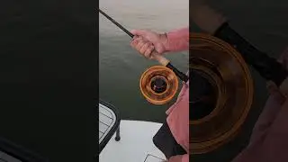 Fighting a Fish with the Nautilus GTX