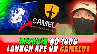 WHAT VOLUME APECHAIN DO IN CAMELOT? DEX SHOCKS