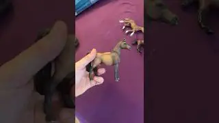 Schleich Unboxing😍 #shortsvideo #schleich #schleichpferde #schleichhorses #shortsviral #unboxing