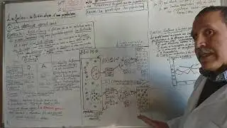 LA GENETIQUE DES POPULATIONS: les facteurs de variation d'une population:la derive genetique