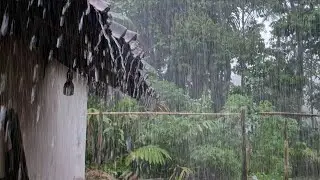 Heavy Rain Sounds 🌧️ Fall Asleep in Minutes | Deep Sleep Therapy
