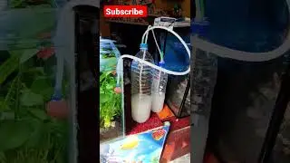 CO2 for planted aquarium