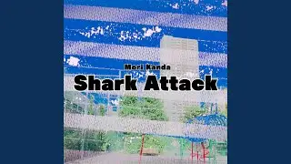 Shark Attack - Tabor Pipe,Ovation Applause UA20 Ukulele,Customized Mridangam,