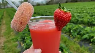 We Are OPEN for U-Pick Strawberries!