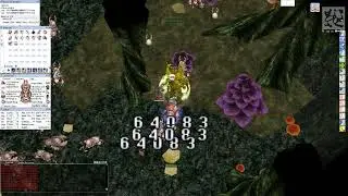 [euRO Prime] Scaraba Dungeon