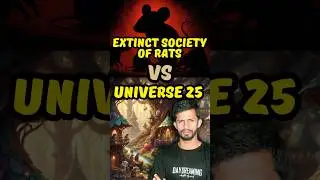 Shocking reality of university of 25 experiment #rats #aman #humanity #experiment