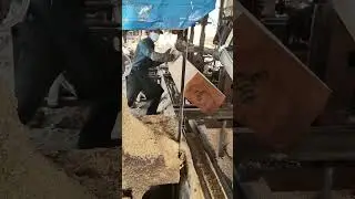 Amazing Wood Cutting Machine #Satisfying#WoodCutting Machine#Machinery#Engineering#Workshop#Skilled