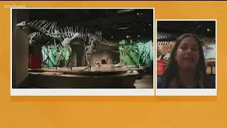Science Museum of Minnesota launches new dinosaur exhibit this weekend
