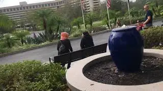 ВЛОГ ФЛОРИДА / DISNEY WORLD