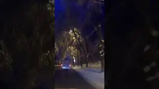 Park road at night in winter 17Jan2026