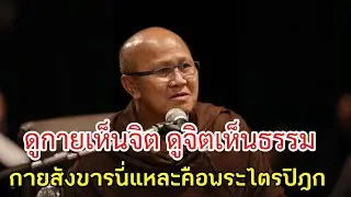 ดูกายเห็นจิตดูจิตเห็นธรรมกายสังขารนี่แหละคือพระไตรปิฎก#พระสิ้นคิด#หลวงตาสินทรัพย์#ธรรมะสอนใจ#ธรรมมะ 