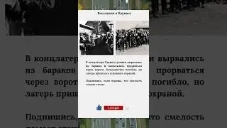 Восстание в Каунасе #Каунас #Побег
