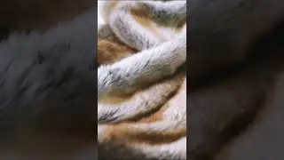 Luxury Redefined: Faux Fur Blankets Unveiled! ✨ #trending