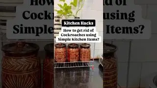 Get rid of Cockroaches using simple kitchen items#kitchen #kitchentips #kitchenhacks #cockroach #tip