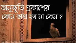 যে অনুভূতির অভিধানে কোন শব্দ নেই | Bengali Audio Story | Emotional Narration & Deep Feelings