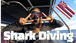 Swimming with Sharks-No Cage! One Ocean Diving, Oahu, Hawaii [4K]
