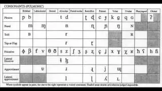 ASection 14 3 Meaning and Sound