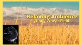 ASMR Relaxation Wheat Field Mountains | Light Wind, Ambient Sounds | Help You Relax, Sleep and Study