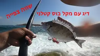 דיג עם מקל בוס,  אחד הימים הטובים, רצף של ארסים גדולים וסרגוסים יפים תהנו ותלמדו פרטים חשובים בתיאור