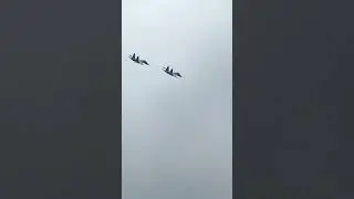 красавцы