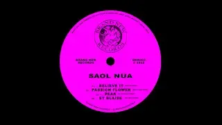 Saol Nua - Passion Flower (Man Power Remix) [BNR003]