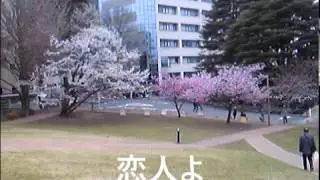 恋人よ cover by Kayoko mama at Sizuka