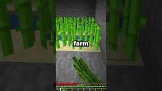 The HARDEST Minecraft Server #minecraft #minecraftsmp #minecraftserver