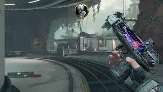Divinity Reactive camo unlocked