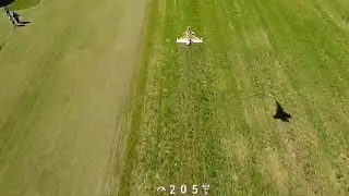 Rafale Tiger Meet (Feibao)