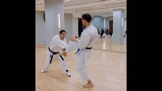 Info how to use Karate Stances to our advantage! (General Stance) and takedown techniques - Uss