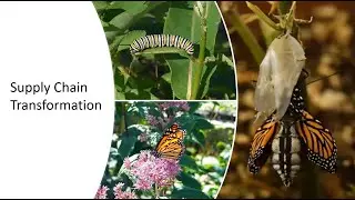 Supply Chain Transformation using SCOR Overview