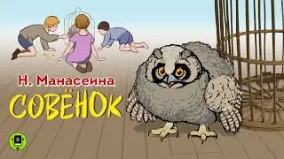 Н. МАНАСЕИНА «СОВЁНОК». Аудиокнига. Читает Всеволод Кузнецов